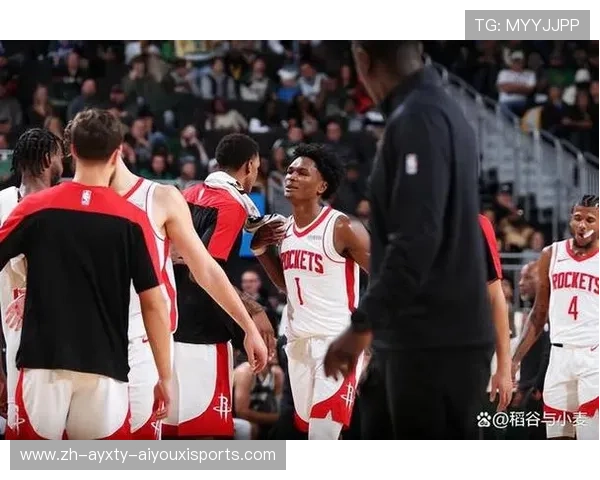 2004年火箭队比赛录像资料与球星表现