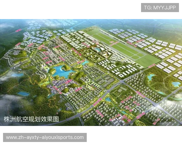 蓬勃发展的全民健身图景平果市体育事业成果与未来规划